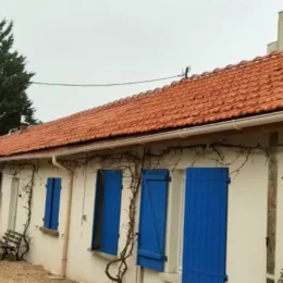 Traitement curatif Joigny après