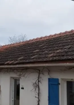 Traitement curatif Joigny préparation